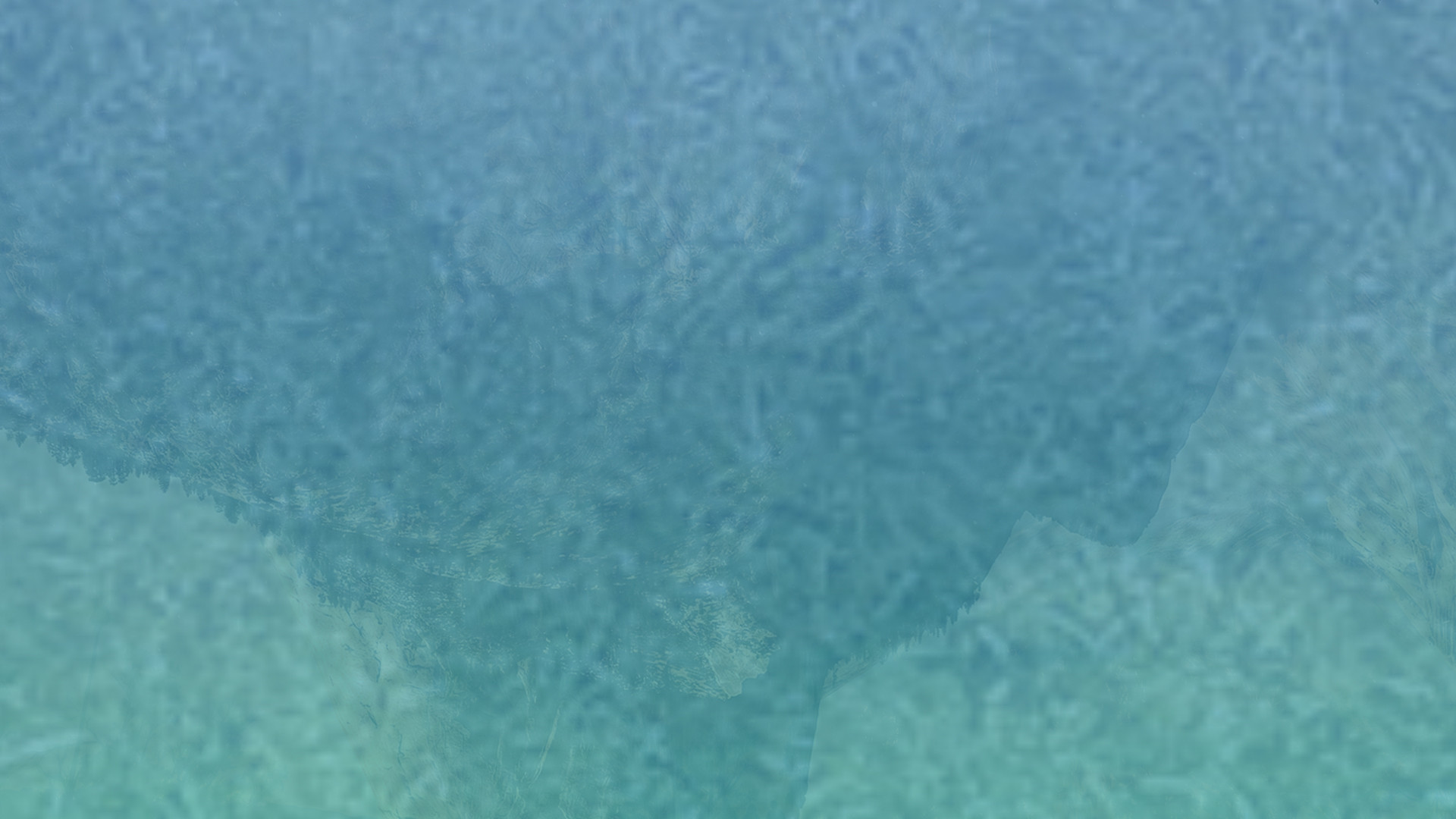 专业办公版的免费ddos在线攻击测试网站